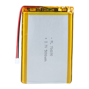 5000mAh+ Lithium Polymer Battery