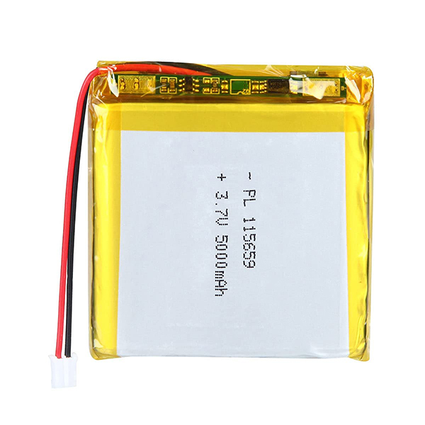 5000mAh+ Lithium Polymer Battery